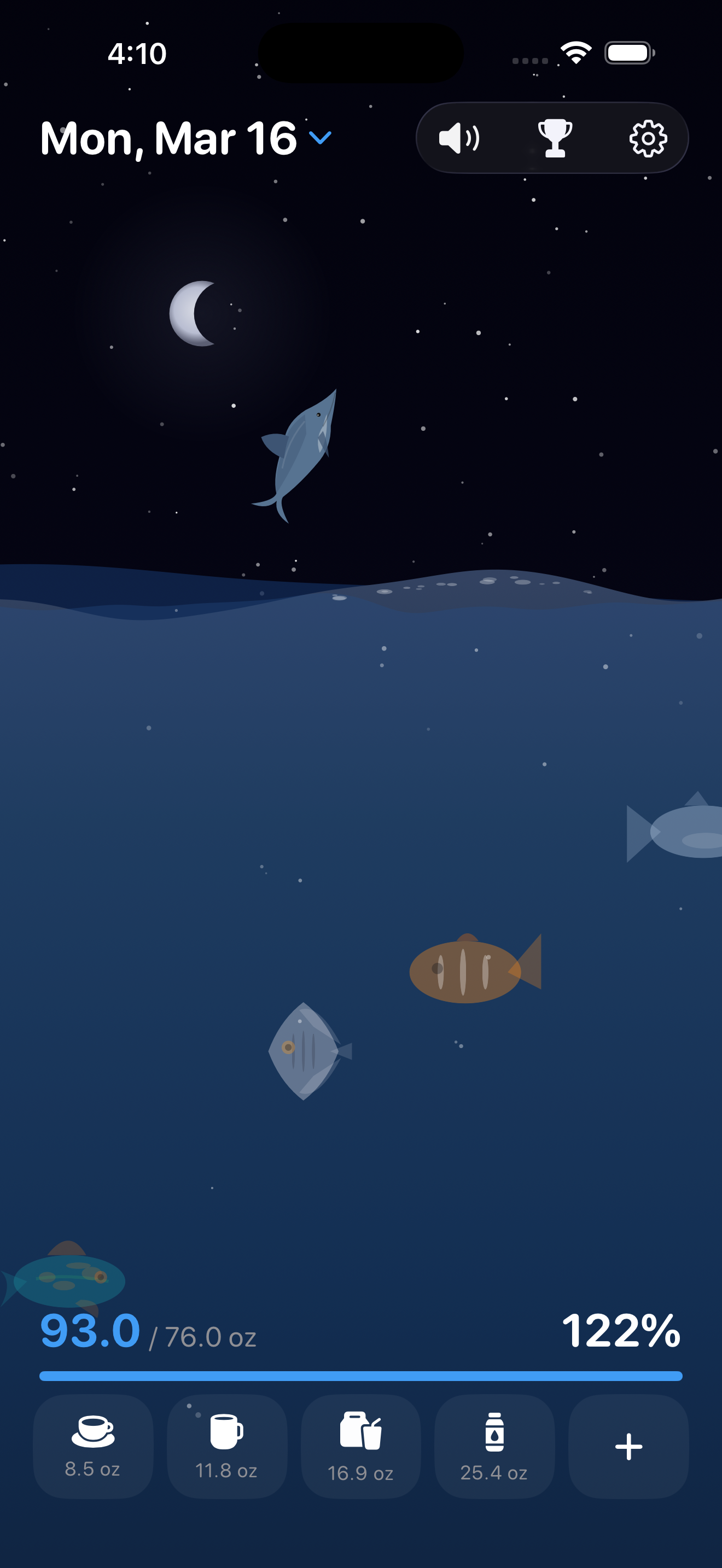 Dolphin celebration at night